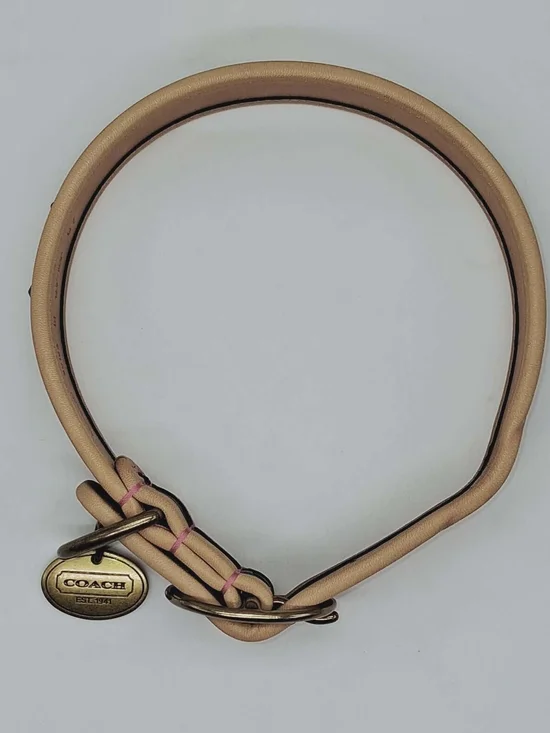 Coach Green and Natural Leather Dog Collar with Brass Medallion - Picture 5 of 9